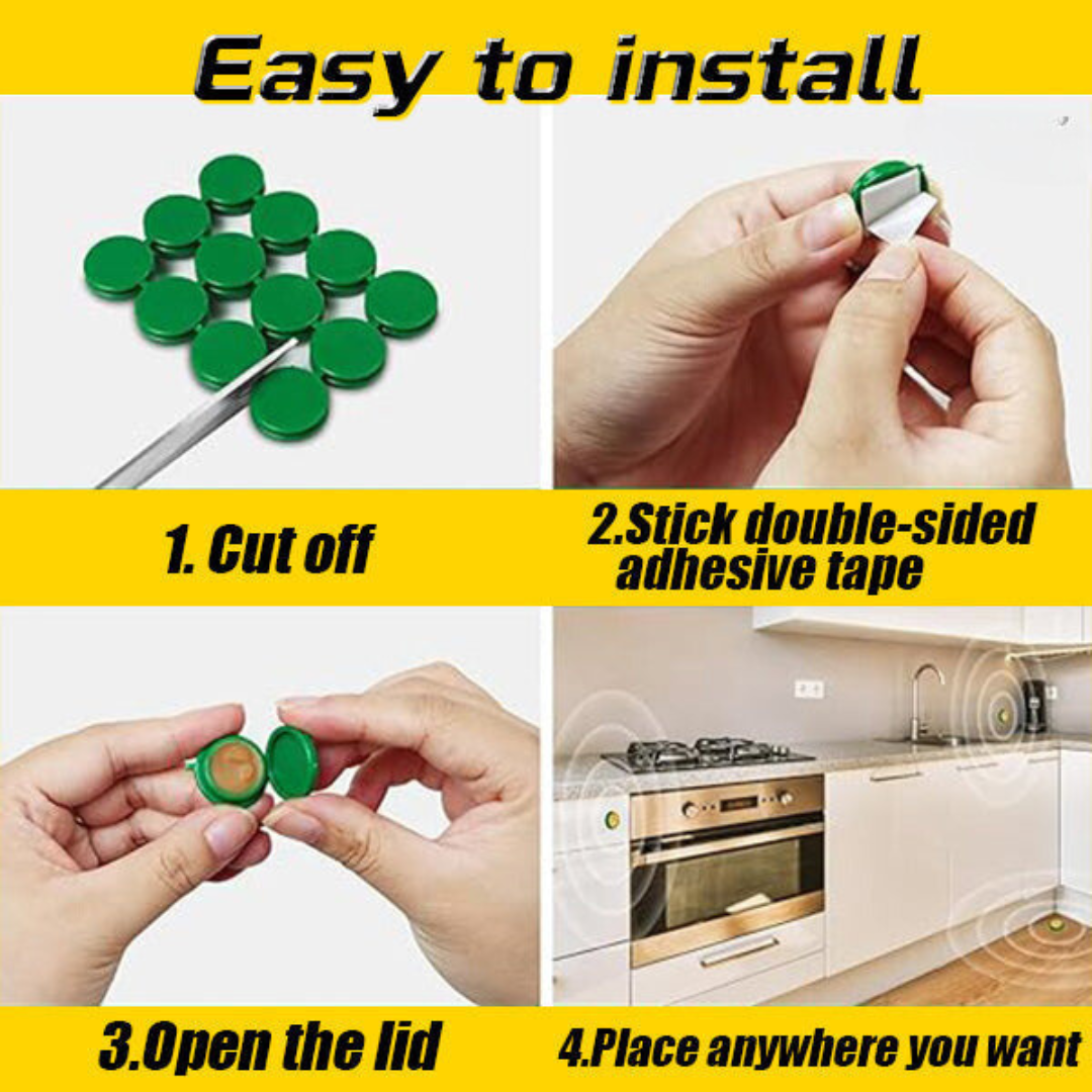 תחנת פיתוי לתיקנים